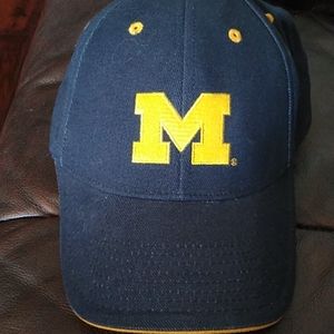 Michigan hat